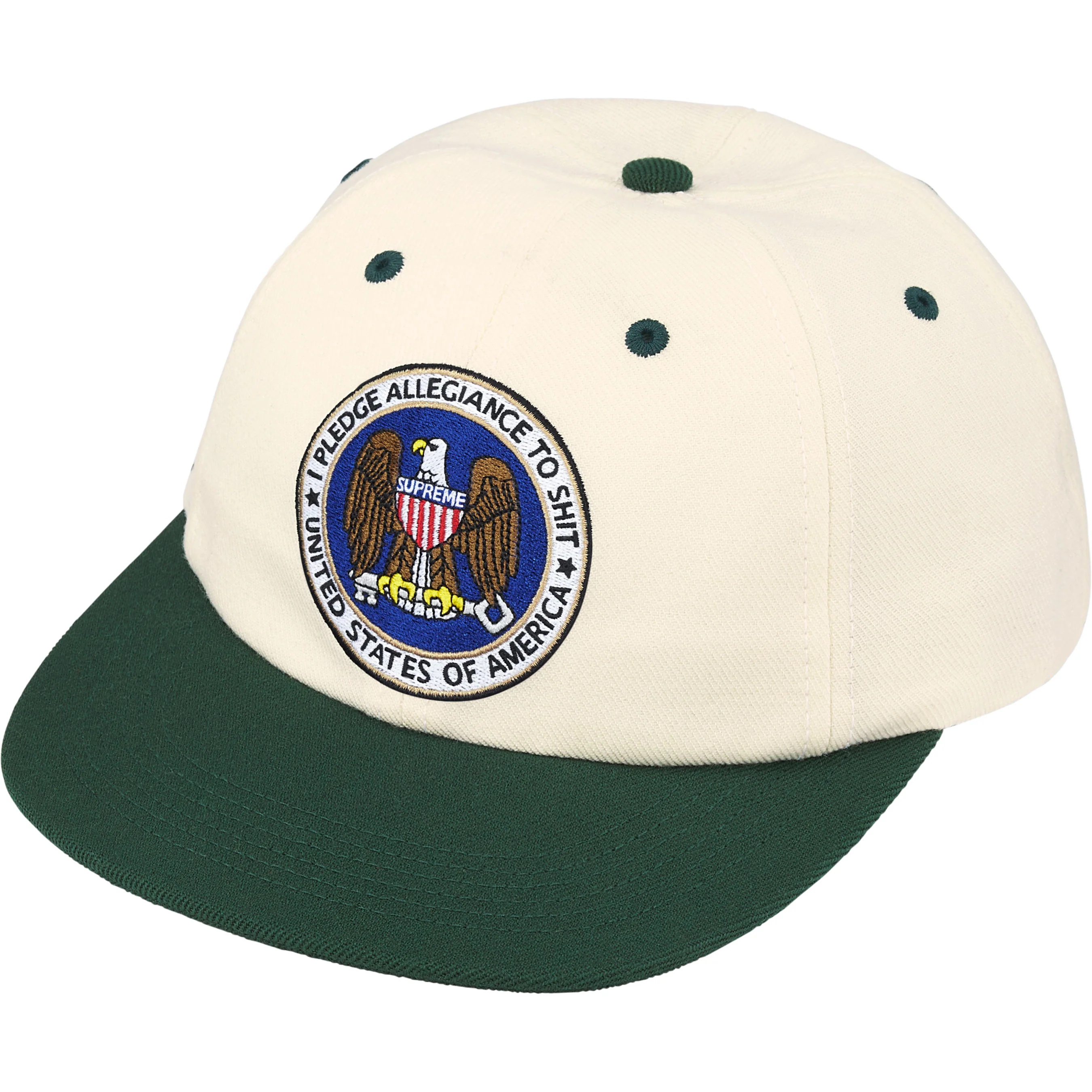 Pledge Allegiance 6-Panel view 13